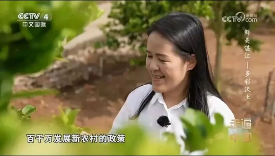 来当合伙人!湛江向全国发出邀约→