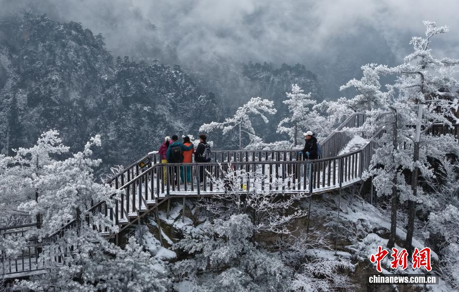 河南老界岭：春雪云海齐上线