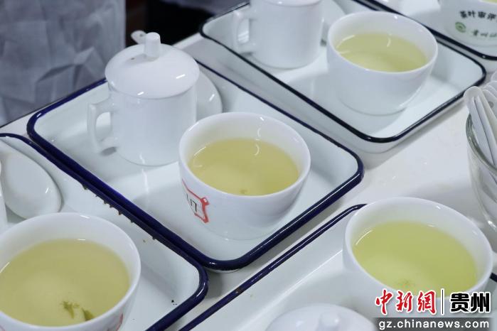2026年贵州早春茶斗茶赛审评活动举行 金奖茶揭晓
