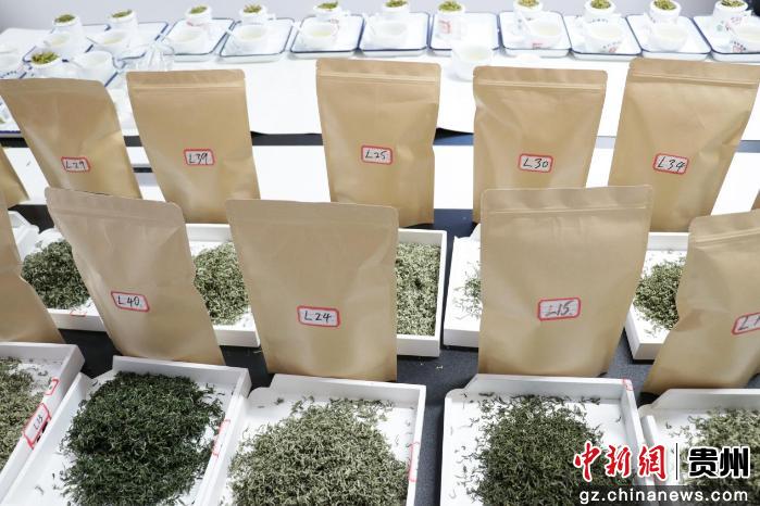 2026年贵州早春茶斗茶赛审评活动举行 金奖茶揭晓