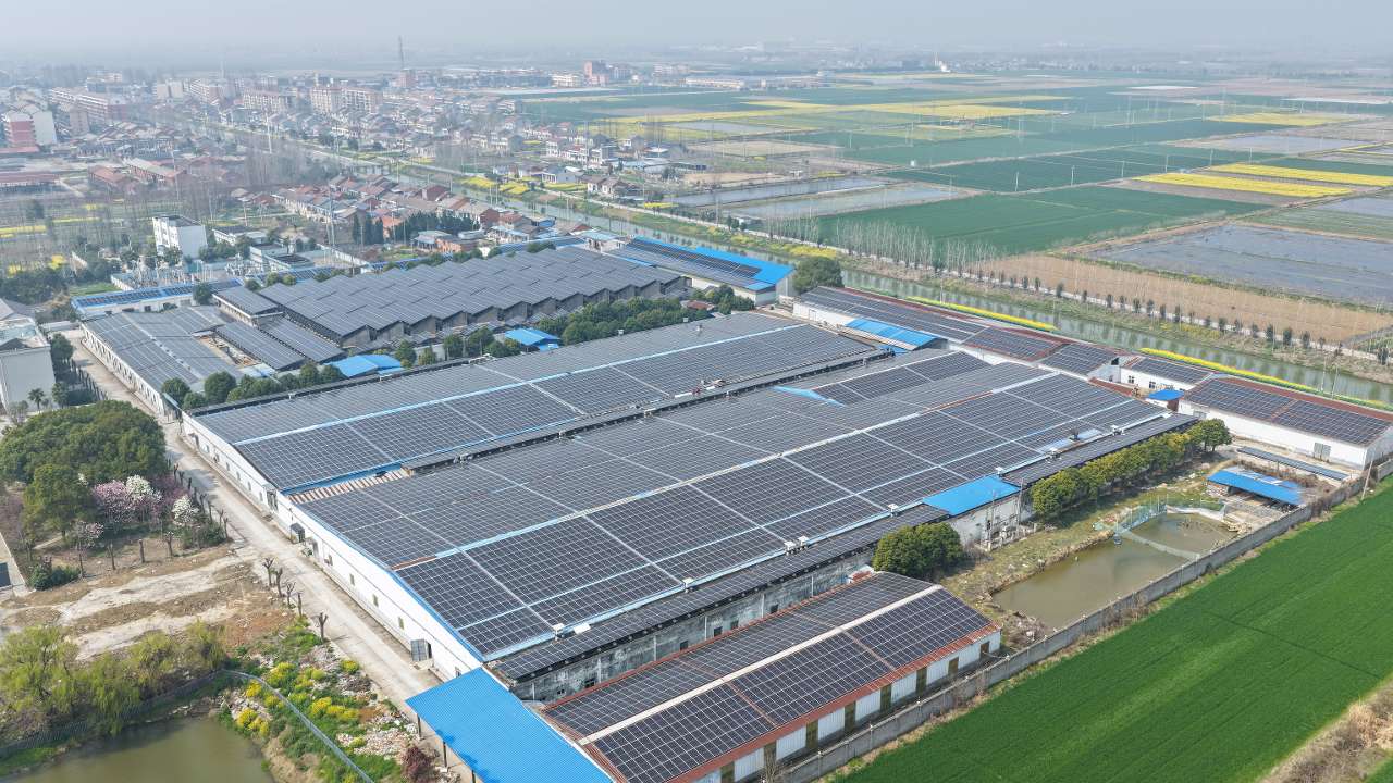 湖北：绿电工厂节能降碳4万吨