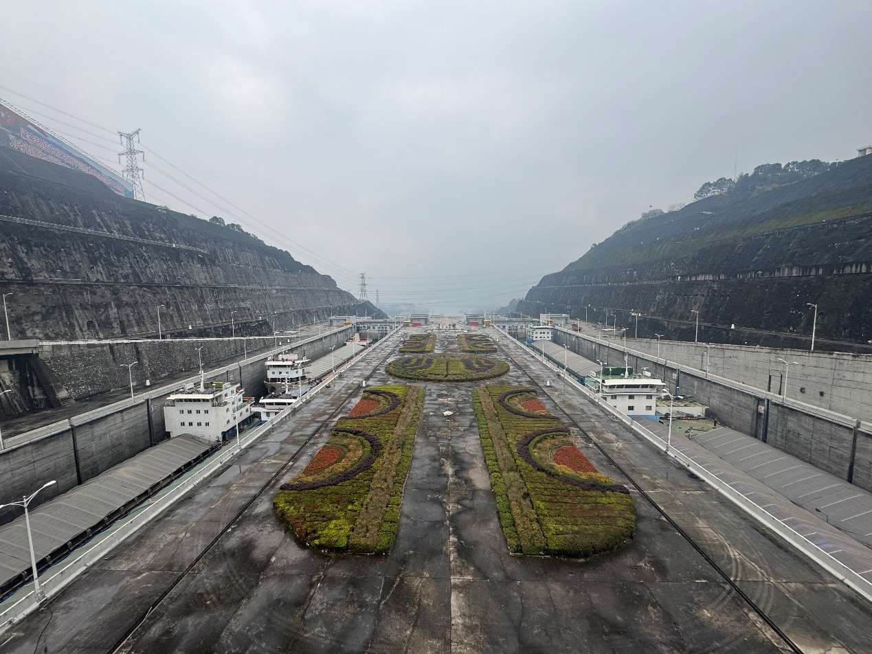 这个春运,三峡枢纽通过货物1548.8万吨 这个春运,三峡枢纽通过货物1548.8万吨