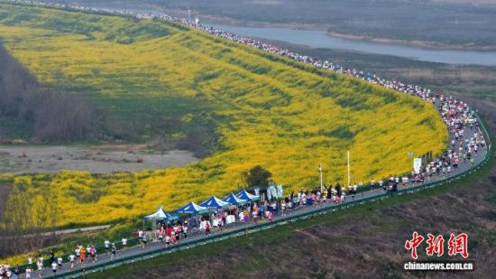 4000名跑友齐聚洪城“最美赛道” 竞逐2026南昌鄱阳湖半程马拉松 图为2026南昌鄱阳湖半程马拉松比赛现场。南昌高新区融媒体中心供图