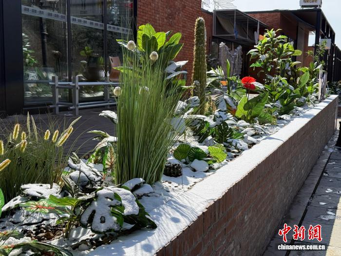 惊蛰遇春雪 吉林白山松水绘就冬春交织图