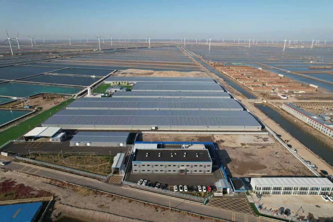 科技护航粮食丰产 利津县2.3万台（套）农机具保障春季农业生产