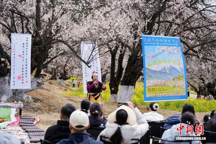 “春遇林芝·桃韵工布”主题诗茶音乐会在林芝市巴宜区举办