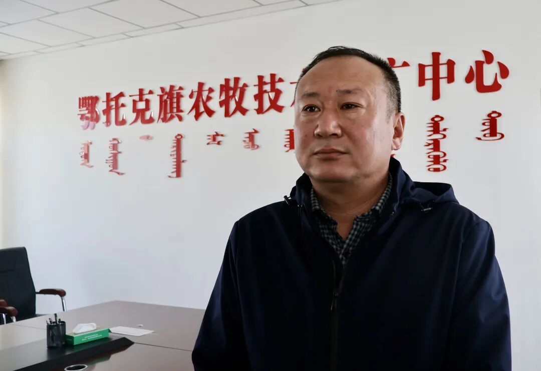 鄂托克旗喜接春羔65万余只!