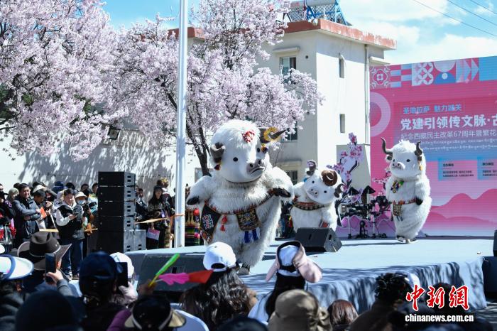 西藏拉萨:纪念西藏民主改革67周年 扎细街道上演传统文化服饰盛宴