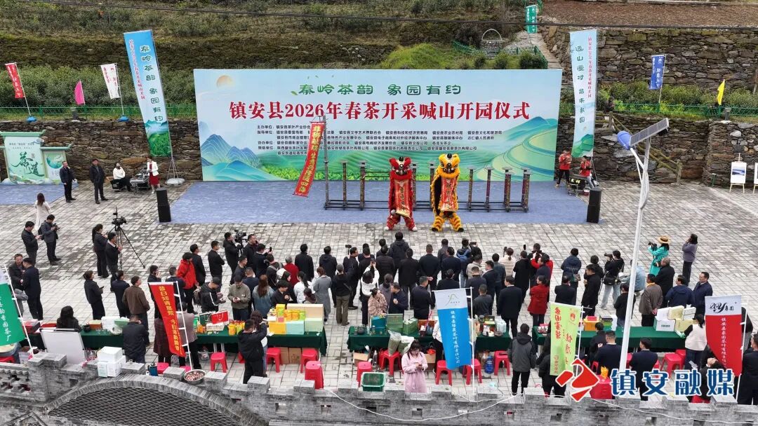 “秦岭茶韵 象园有约”镇安县2026年春茶开采喊山开园