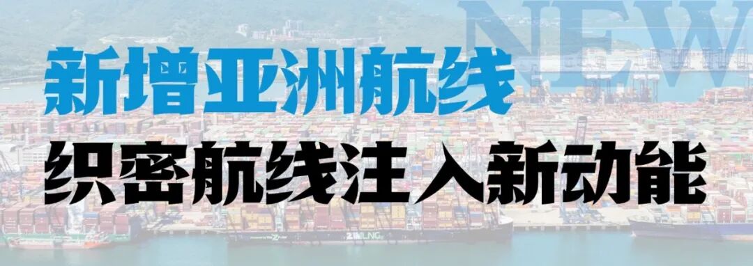 柬直泰快了!盐田港新增亚洲航线