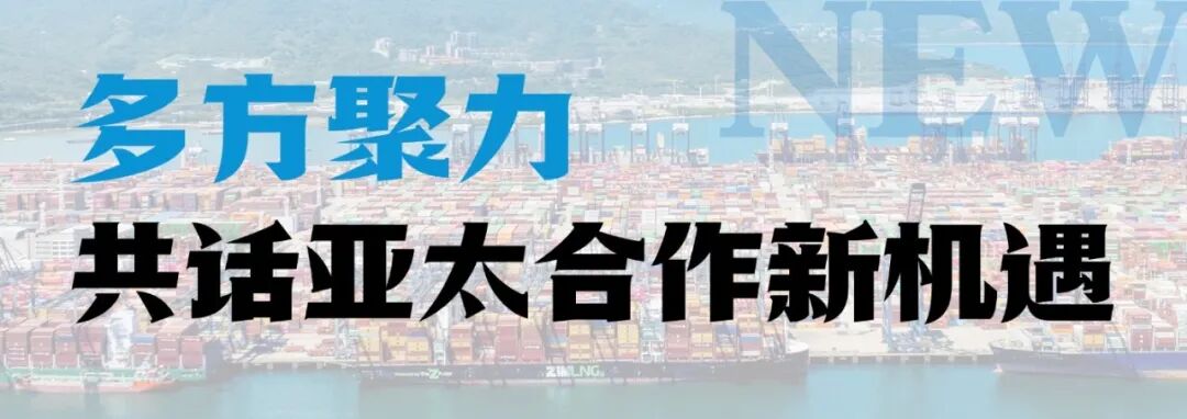 柬直泰快了!盐田港新增亚洲航线
