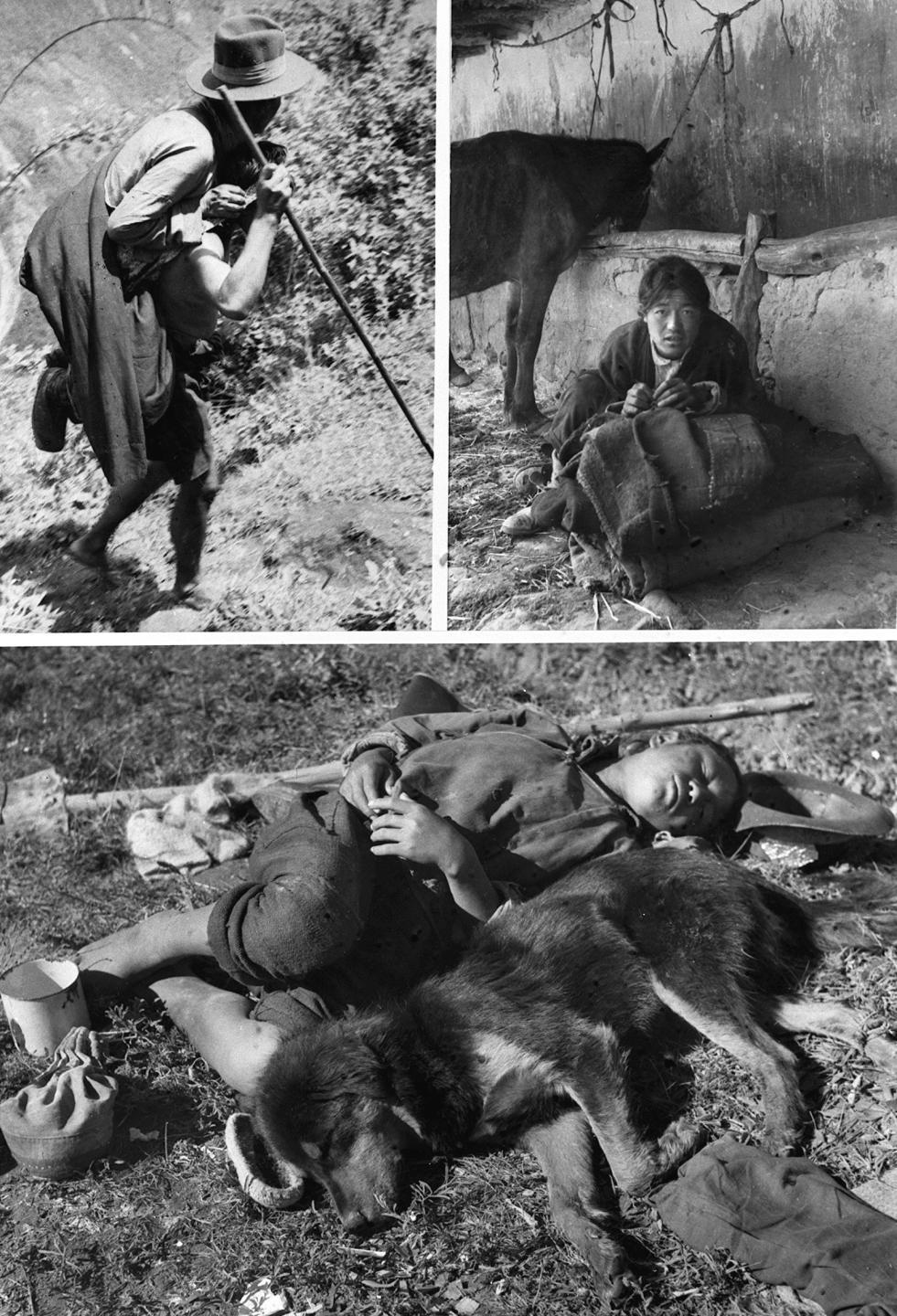 追光｜67年来，西藏体育缘何巨变