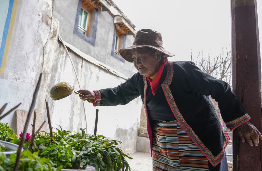 苦难和新生——西藏翻身农奴影像档案：卓玛吾珠