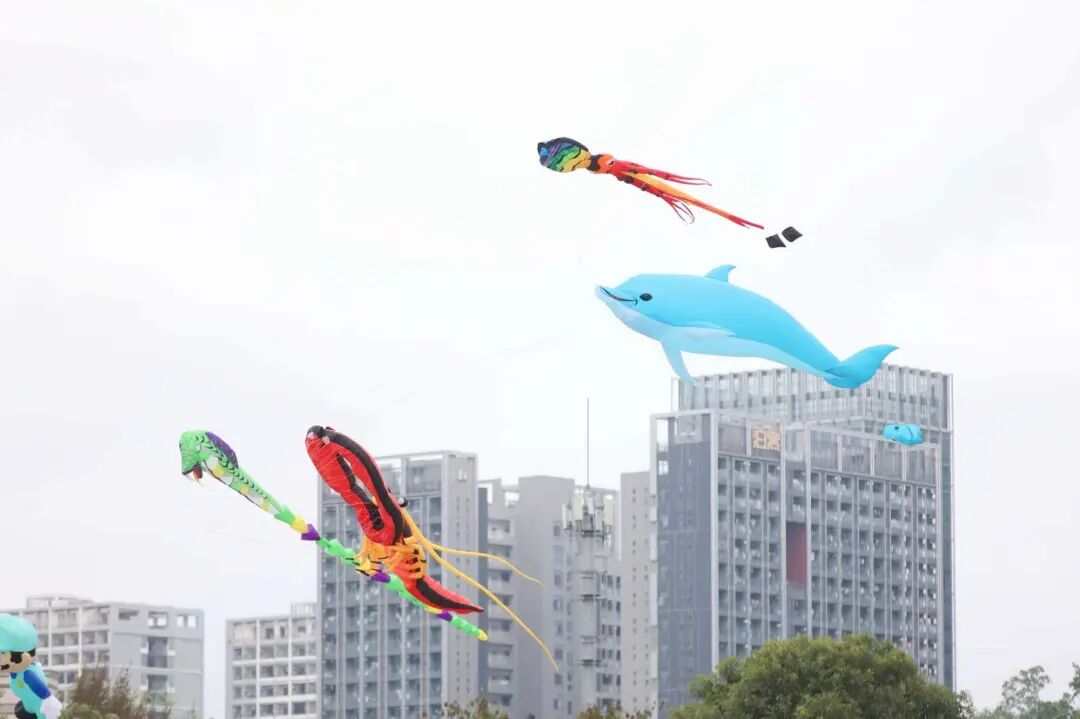 喜迎APEC,今天我们“坪水相逢”!| 坪山春印象