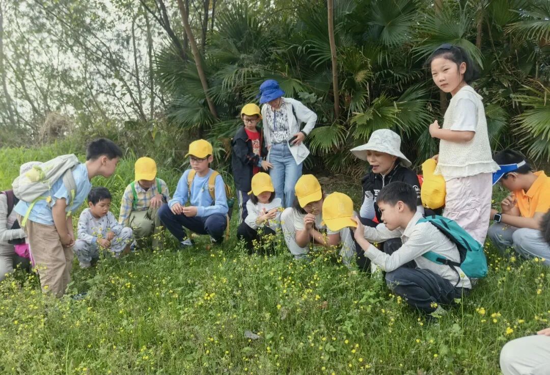喜迎APEC,今天我们“坪水相逢”!| 坪山春印象