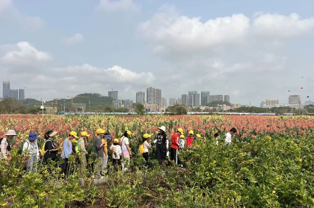 喜迎APEC,今天我们“坪水相逢”!| 坪山春印象