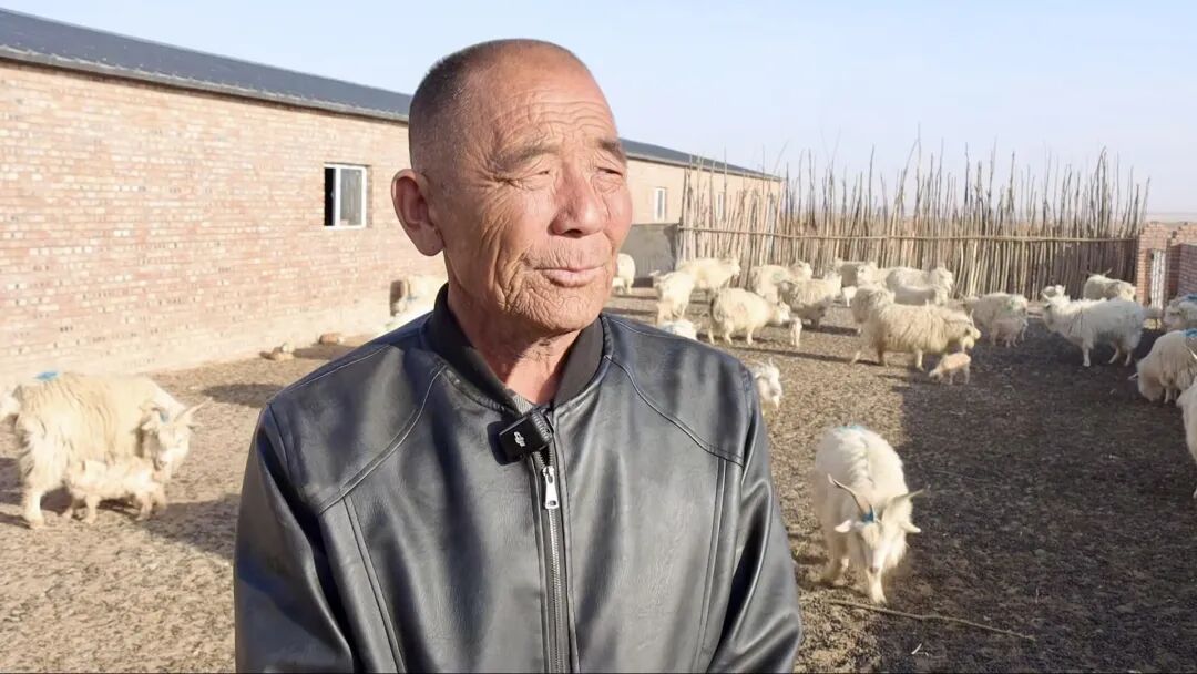 鄂托克旗:科技“绒”入新政,细绒“织”就未来