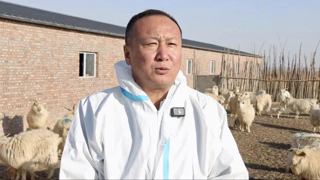 鄂托克旗:科技“绒”入新政,细绒“织”就未来