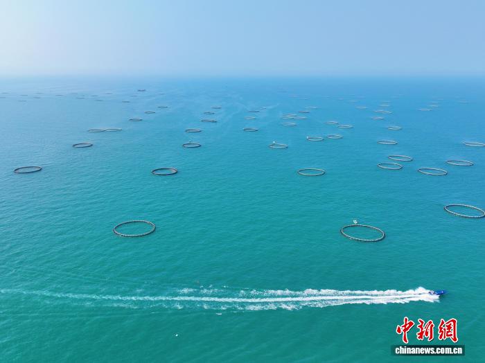 广西北海冠岭海洋牧场:生态养殖赋能渔业高质量发展