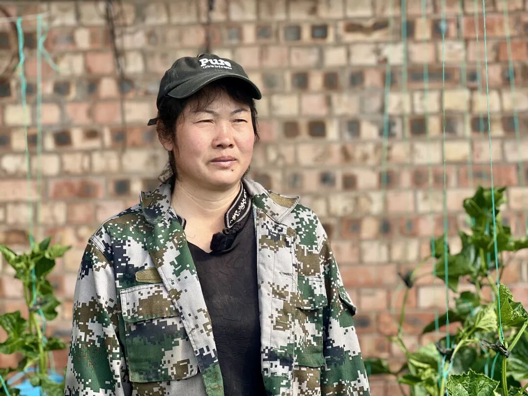 走一线 改文风 | 种下春光 静待丰收——鄂托克旗设施农业开启“春忙模式”