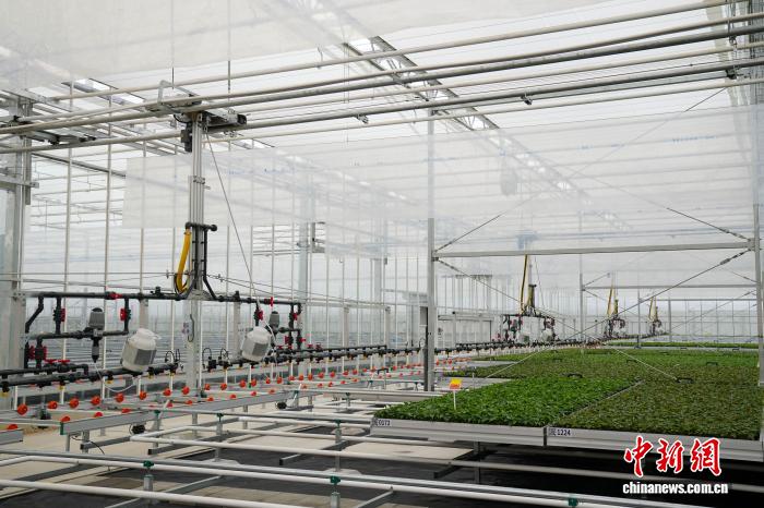 云南省花卉示范园区一高科技温室正式启用