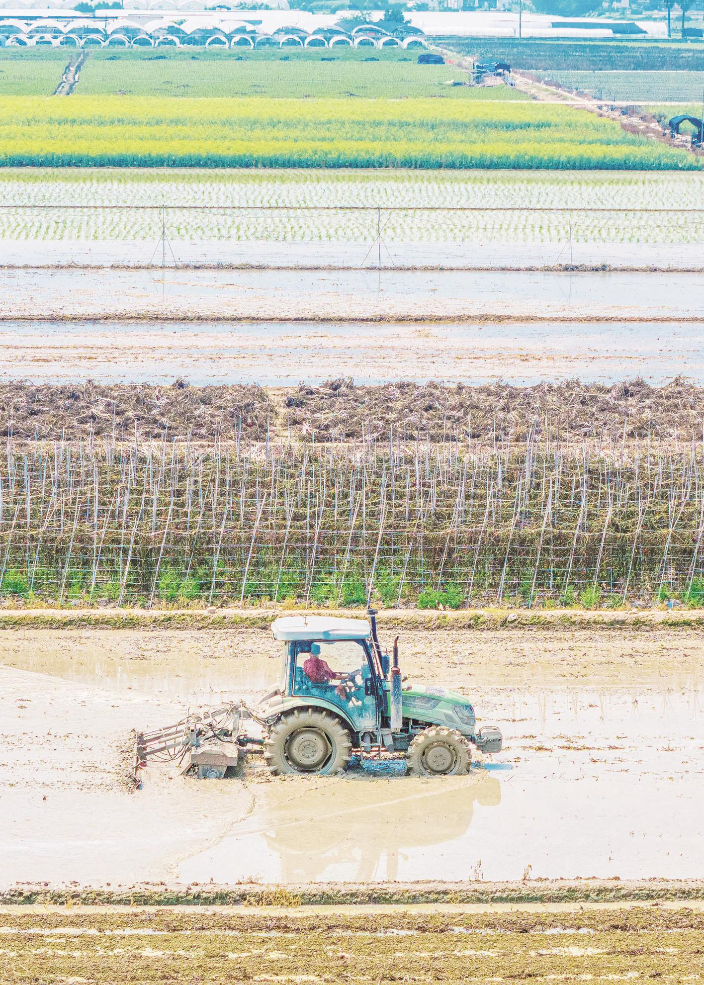 压实生产任务、强化农机保障、加码政策扶持——漳州市春季农业生产有序推进