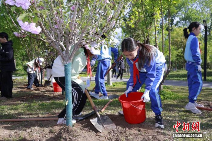 以树为媒、以情为桥 京藏少年“共植同心树”