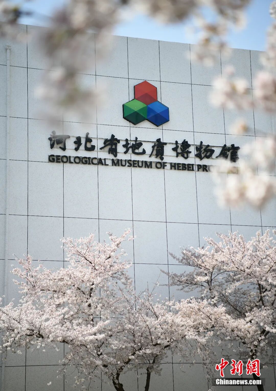 它出生时,地球还是个“宝宝”?河北这块36.7亿岁的石头,刷新认知!