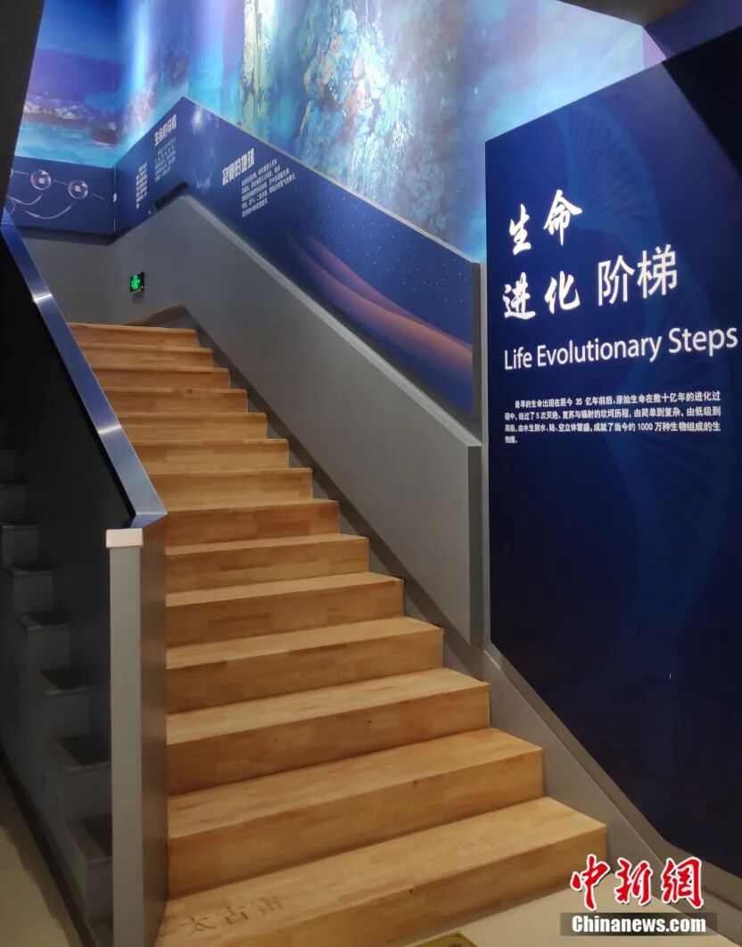 它出生时,地球还是个“宝宝”?河北这块36.7亿岁的石头,刷新认知!