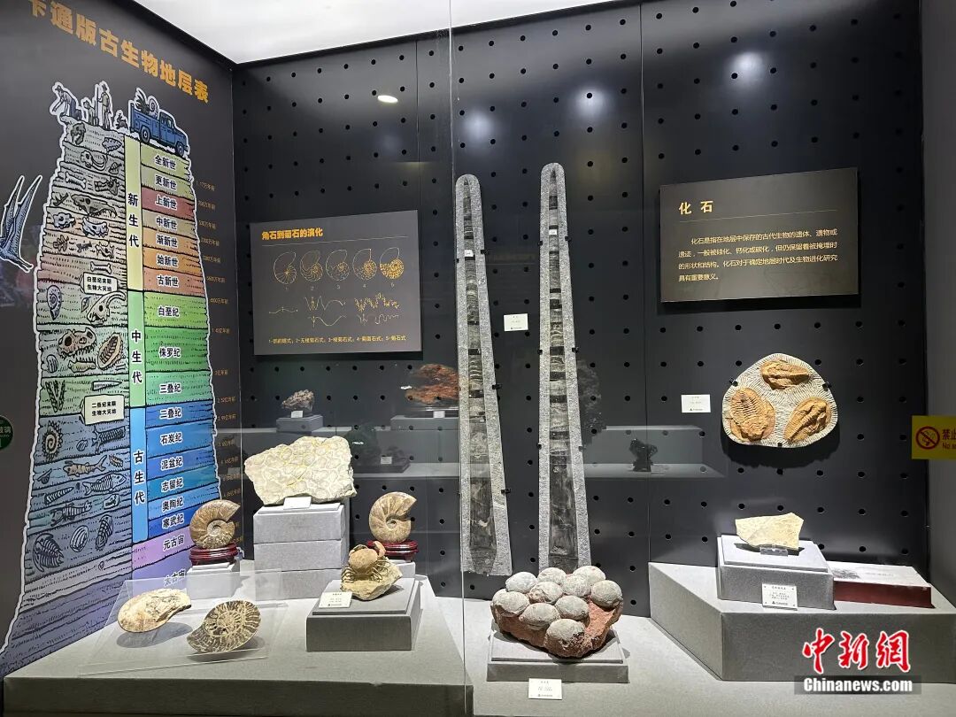 它出生时,地球还是个“宝宝”?河北这块36.7亿岁的石头,刷新认知!