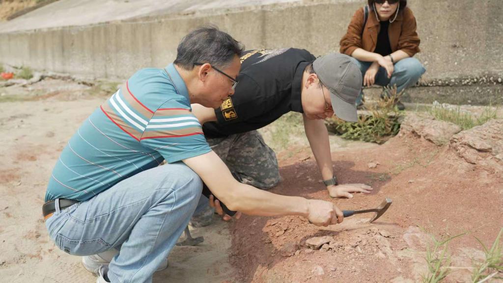 广西南宁邕江畔确认一处新发现的恐龙化石点