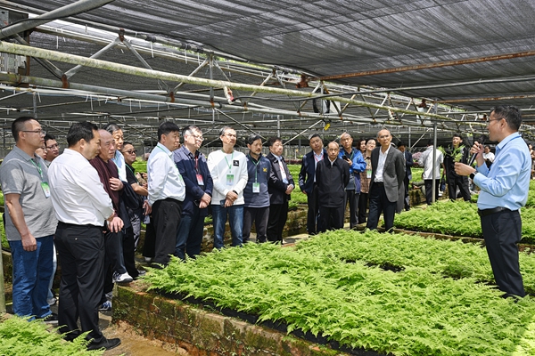 第十届全国林下经济发展学术研讨会在融水举行 与会人员参观人工仿野生种植示范基地。扈鑫摄
