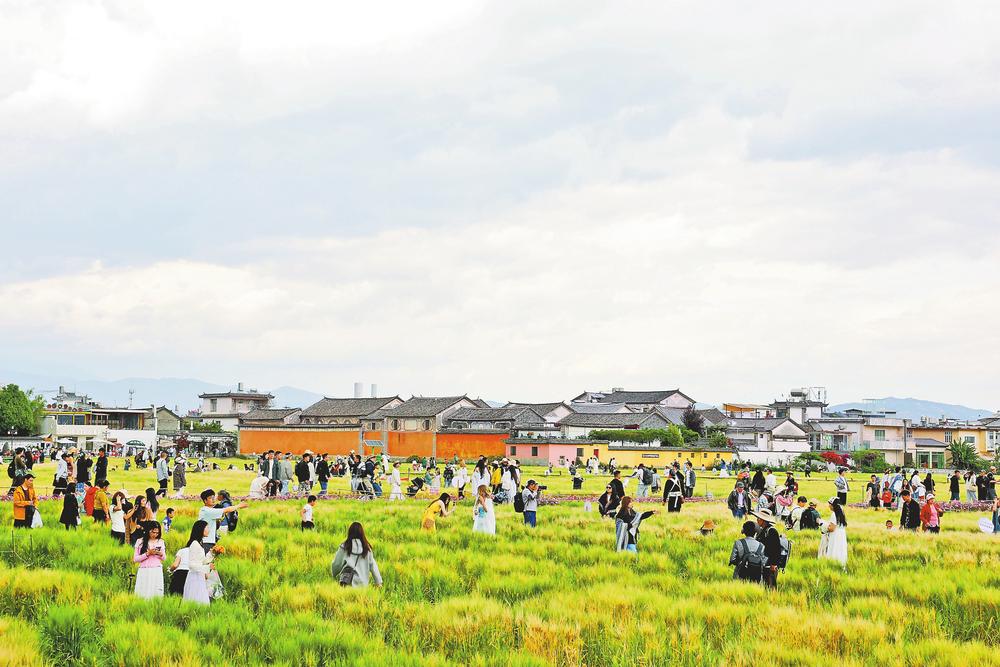 “五一”假期云南多地游客量与花费双增