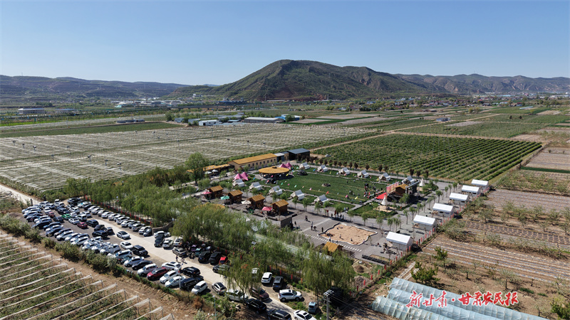 静宁：农旅融合让“闲置地”长出“烟火气”