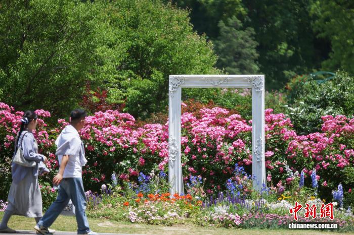南京:繁花似锦香满园