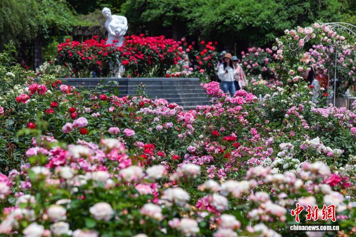 南京:繁花似锦香满园