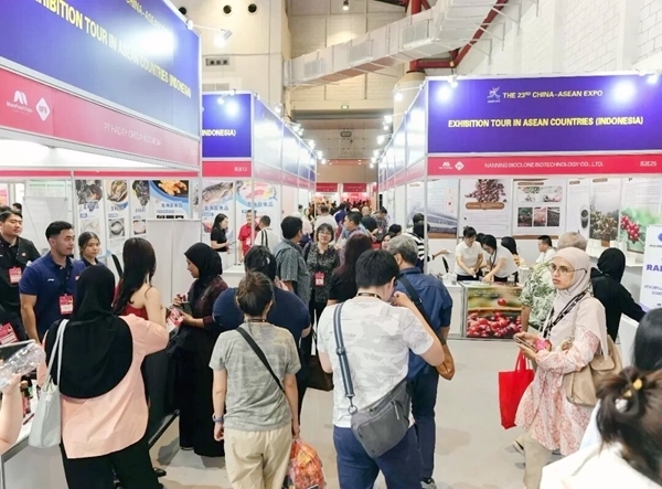 释放东博会品牌动能 助力中企出海拓市 展览现场。