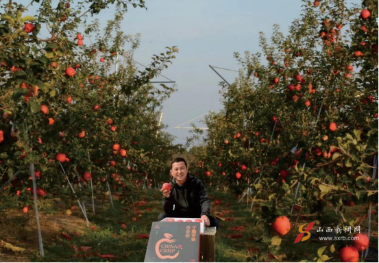 乡村振兴看大宁