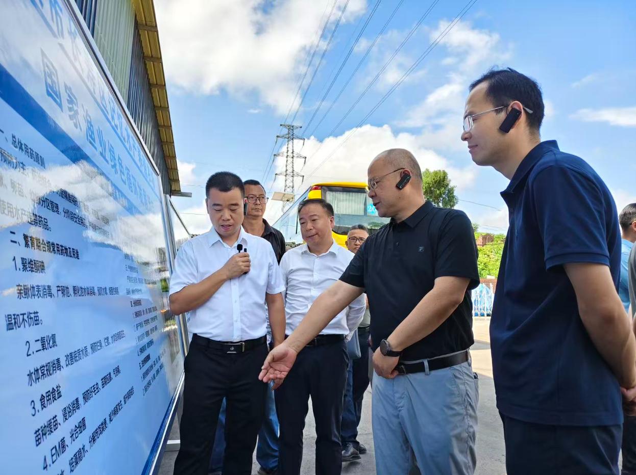 重庆部署水产养殖滥用药专项整治 重庆部署水产养殖滥用药专项整治