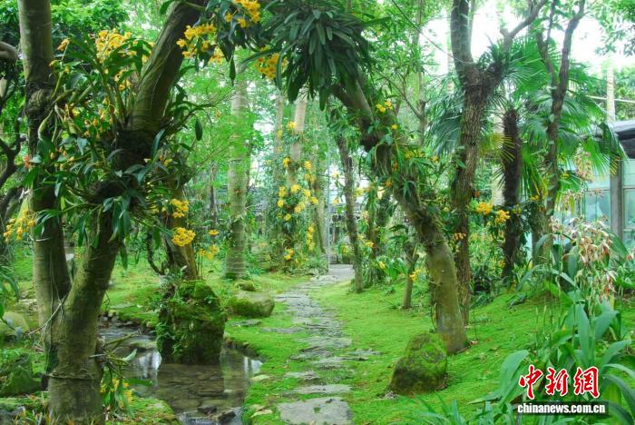 广东发布两项植物园建设相关团体标准
