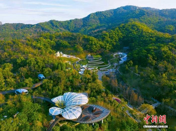 广东发布两项植物园建设相关团体标准