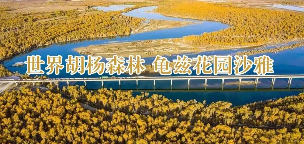 乡村振兴丨沙雅县第一批农村公路进入收尾阶段 民生路网日趋完善