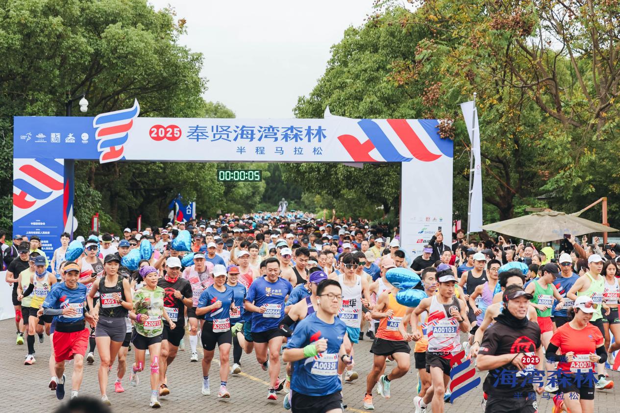 以跃动之姿,启蝶变新局——海湾镇打造国际户外运动休闲小镇的实践与探索 以跃动之姿,启蝶变新局——海湾镇打造国际户外运动休闲小镇的实践与探索