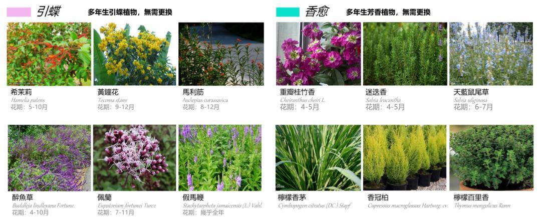 以绿筑城芯 以心护生灵┃广粤国际社区以社区微光点亮绿美广州生态答卷