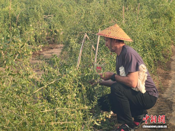 中亚主流媒体采访团走进新疆博州