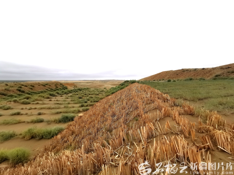 从“死亡之海”到“希望之海”——新疆打响塔克拉玛干沙漠边缘阻击战三周年观察 IMG_20240906_102725