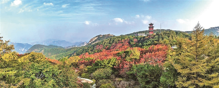 山东泰安泰山：古木凝翠 万物竞发