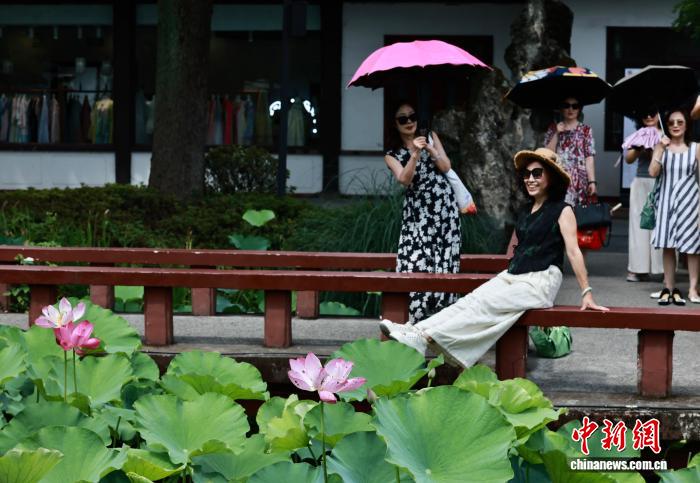 成都望丛祠荷花绽放迎客来