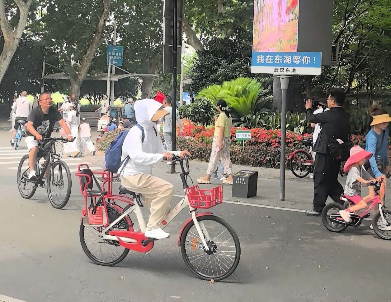 武汉东湖绿道：见证生态保护与民生幸福相融