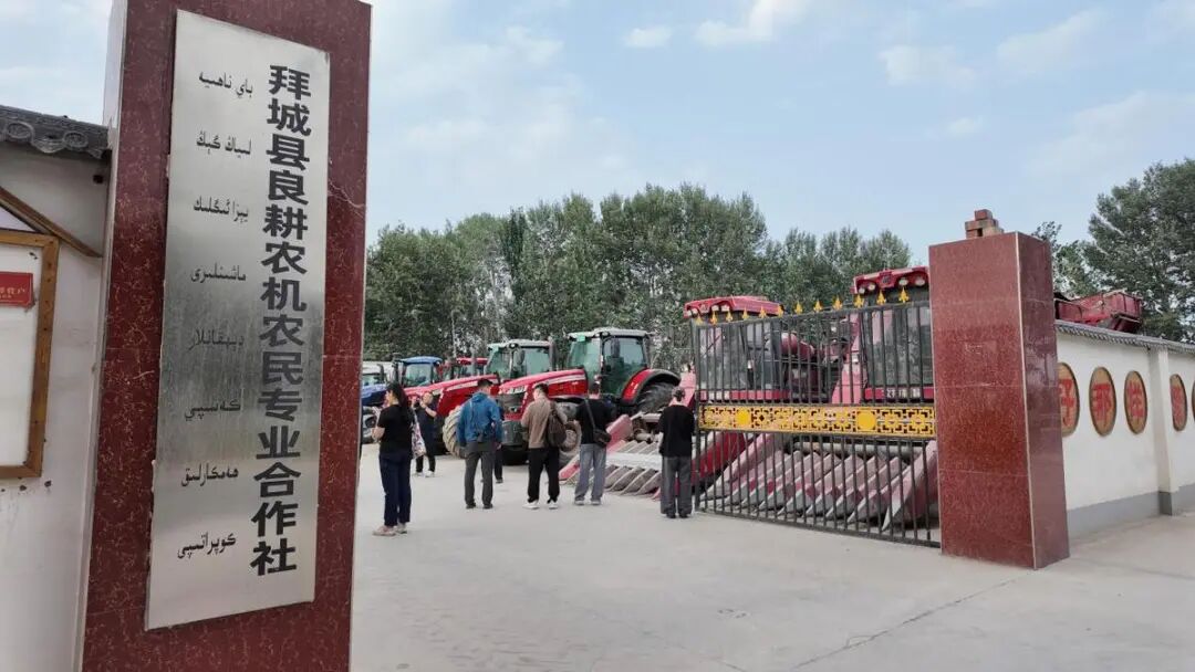 走基层 看人大丨中国日报·新疆拜城县亚吐尔乡基层人大代表赋能乡村振兴实践